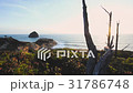 Dolly pull away shot of pacific ocean at sunset 31786748