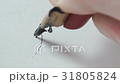 Calligrapher writing a word 31805824