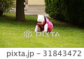 Cute little baby-girl is crawling in the green 31843472