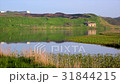 北海道　根室　南部沼 31844215