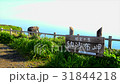 北海道　根室　納沙布岬　看板 31844218