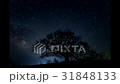 一棵櫻桃樹和滿天星斗的天空 31848133
