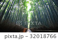 京都嵐山Sagano的竹林 32018766