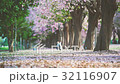 Blur garden background with falling flower petals 32116907