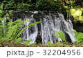 Shiraito瀑布的下游 32204956