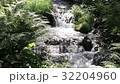Shiraito瀑布的下游 32204960