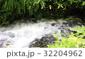 Shiraito瀑布的下游 32204962
