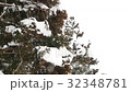 Powder Snow 32348781