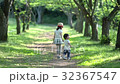 並木道 32367547