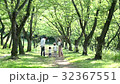 並木道 32367551