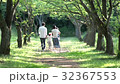 並木道 32367553