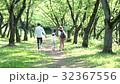 並木道 32367556