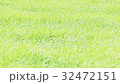 Prairie swaying in the wind 32472151