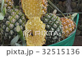 Wasp feeding sweet water of pineapple. Wasp feeding sweet water of pineapple. 32515136