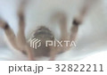 A tarantula spider close up 32822211