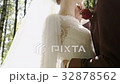beautiful kiss of the bride and groom in the woods 32878562