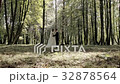 wedding dance of the bride and groom in the woods 32878564