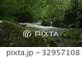 Oirase Stream Flow of Asura 32957108