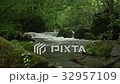 Oirase Stream Flow of Asura 32957109