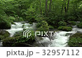 Oirase Stream Flow of Asura 32957112