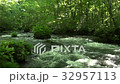 Oirase stream 32957113