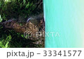 縱向視頻/山庫沒有秘密區域/翡翠綠河天堂 33341577