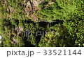 次の滝（５） 33521144