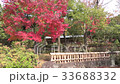 Japanese style garden of autumn leaves 33688332