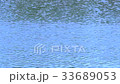 Ripple 33689053