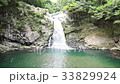 清納の滝（３） 33829924