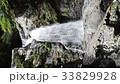 清納の滝（５） 33829928