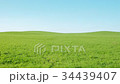 Landscape of the hill (tilt up and then full blue sky) 34439407