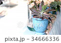 Fresh flowers in pots on a wedding table 34666336