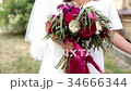 Bride holding wedding bouquet 34666344