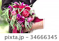 Bride holding wedding bouquet 34666345