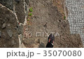 Gonio-Apsaros fortress 35070080