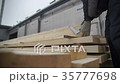 Hands of the master cut tree, woodworking 35777698