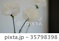 Three white cut flowers with large buds stand in a Three white cut flowers with large buds stand in a 35798398