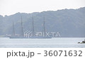 帆船 36071632