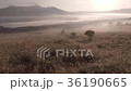 南阿蘇の雲海 ドローン空撮 36190665