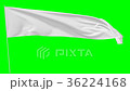 Long white flag, animation with green screen 36224168