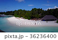 v04534 Aerial flying drone view of Maldives white 36236400