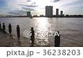 Evening Chao Phraya waterfront view in Thailand 36238203