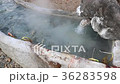 Eggs in the basket are boiled in hot springs at sa 36283598
