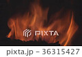 Close-up of burning firewood in a home fireplace 36315427