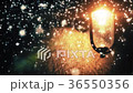 Night Winter Street Lamp With Falling Snow Night Winter Street Lamp With Falling Snow 36550356