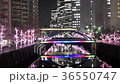 目黒川の夜景 36550747