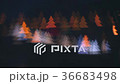Motion lights in shape of Christmas tree. 36683498