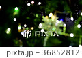 Snow crystal Light ball Bokeh Heart Focus in 36852812