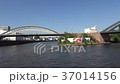 A walk along the river on a boat in Frankfurt am m 37014156